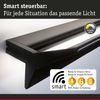 Paulmann 79511 LED Wandleuchte Smart Home Zigbee Stine schwarz 55cm tunable white Bild 3