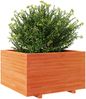 vidaXL Pflanzkübel Wachsbraun 80x80x49,5 cm Massivholz Kiefer 3282531 Bild 4