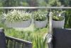 Prosperplast Pflanzkübel Boardee Hook, Balkonblumentopf Balkonkasten 144x212x130mm Weiß/Anthrazit/Braun/Grau Bild 3