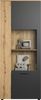 Vitrine Esteban in grau und Eiche Evoke 80 x 195 cm Bild 4