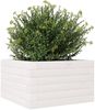 vidaXL Pflanzkübel Weiß 40x40x23 cm Massivholz Kiefer 847179 Bild 4