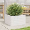 vidaXL Pflanzkübel Weiß 40x40x23 cm Massivholz Kiefer 847179 Bild 3