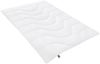 Badenia Bettcomfort Irisette Micro Thermo Ganzjahresdecke Steppbett aus weicher und atmungsaktiver Microfaser für den Übergang, 135x200 cm Bild 2