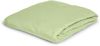Irisette Frottier-Stretch Betttuch Orion 0009 lind 190x200 cm 9-34 lind Bild 2