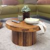 Wohnling Couchtisch 60 x 30 x 60 cm Sheesham Massivholz Sofatisch Bild 3