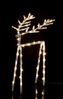 Star Trading 582-02 Weihnachtsdekoration HIRSCH ICY LED 60X0,064W L:30cm B:28cm H:40cm Bild 5