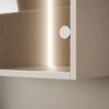 ALLHOUSE24 Vitrine NOVELIA Hängeschrank mit LED-Beleuchtung (1x Vitrine) Breite 60 cm Bild 4
