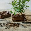 esschert design Blumentopf Esschert Bonsai Schale, rechteckig Gr. M Bild 2