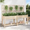 vidaXL Garten-Pflanzgefäß mit Regal Beige 203,5 x 54 x 152,5 cm 42006573 Bild 4