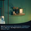 KHG Wandregal schwarz aus Metall pulverbeschichtet, 34 x 25 x 13 cm, Hängeregal ideal für Bücher, Pflanzen & Deko, für Wohn-, Ess-, Schlaf-, Badezimmer & Küche Bild 5