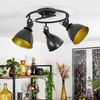 »Orroli« spiralförmige Deckenlampe aus Metall in Schwarz/Gold, 3-flammig, m. verstellbaren Strahlern, 3 x E14-Fassung max. 40 Watt, Spot im Retro/Vintage Design, LED Leuchtmittel geeignet Bild 5