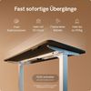 Desktronic HomePro Elektrisch höhenverstellbarer Schreibtisch 160x80cm Weiß/Schwarz mit Memory-Funktion, Anti-Kollisions Technologie, USB-A und USB-C-Ladeanschlüssen Bild 3
