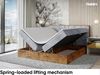 MEBLINI Boxspringbett LOFTY 7 120x220 cm mit Bettkasten - H4/Hellgrau Samt Polsterbett - Doppelbett mit Topper & Taschenfederkern-Matratze Bild 4