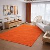 Gabbeh Teppich - Softy - Uni 350 x 250 cm - orange Bild 2