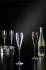 Fink Champagnerglas PREMIO, Glas, Sektglas, Champagnerflöte, 4er Set, transparent Bild 3