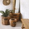 Dickes CL Rattan Pflanzkorb CESTINO natural ca.D50cm Ledergriffe Korb Handarbeit Bild 3