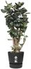 Elho Pflanztopf Greenville Ø 40 x 37 cm living schwarz Bild 2