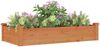 vidaXL Hochbeet mit Einsatz Braun 120x60x25 cm Massivholz Tanne 364290 Bild 3