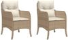 vidaXL Gartenstühle mit Kissen 2 Stk. Beige Poly Rattan 365148 Bild 2