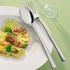 Villeroy & Boch Piemont Tafelbesteck 48 tlg. Bild 3