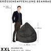 Sitting Point Sitzsack Easy XXL ca. 300 Liter grau Bild 3