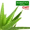 Letti Moderni Latex Topper Aloe Vera – Orthopädische Matratzenauflage mit Aloe Vera Bezug – 100% Naturlatex, Atmungsaktiv & Ergonomisch – Höhe 8cm - 80x200x8 Bild 4