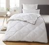 Badenia Irisette Duo-Steppbett Trendline Micro Winterdecke, 155x220 cm Bild 2