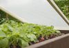 Windhager Gitterfolie Gewächshausfolie Abdeckung Gartenmöbel, Transparent, 100 g/m², 6x2 m Bild 2
