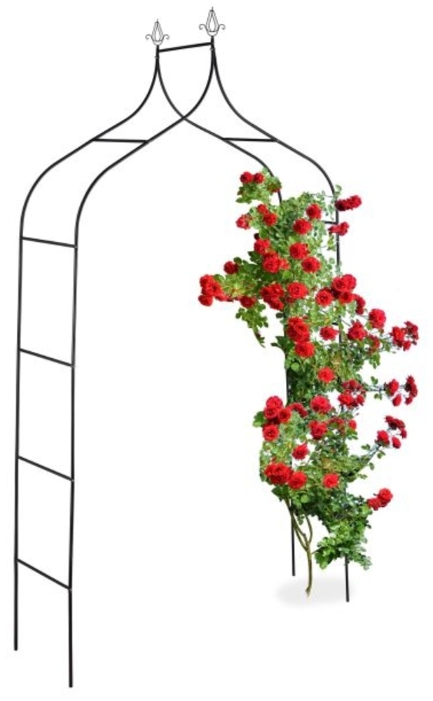 Rosenbogen 260 cm hoch Bild 1