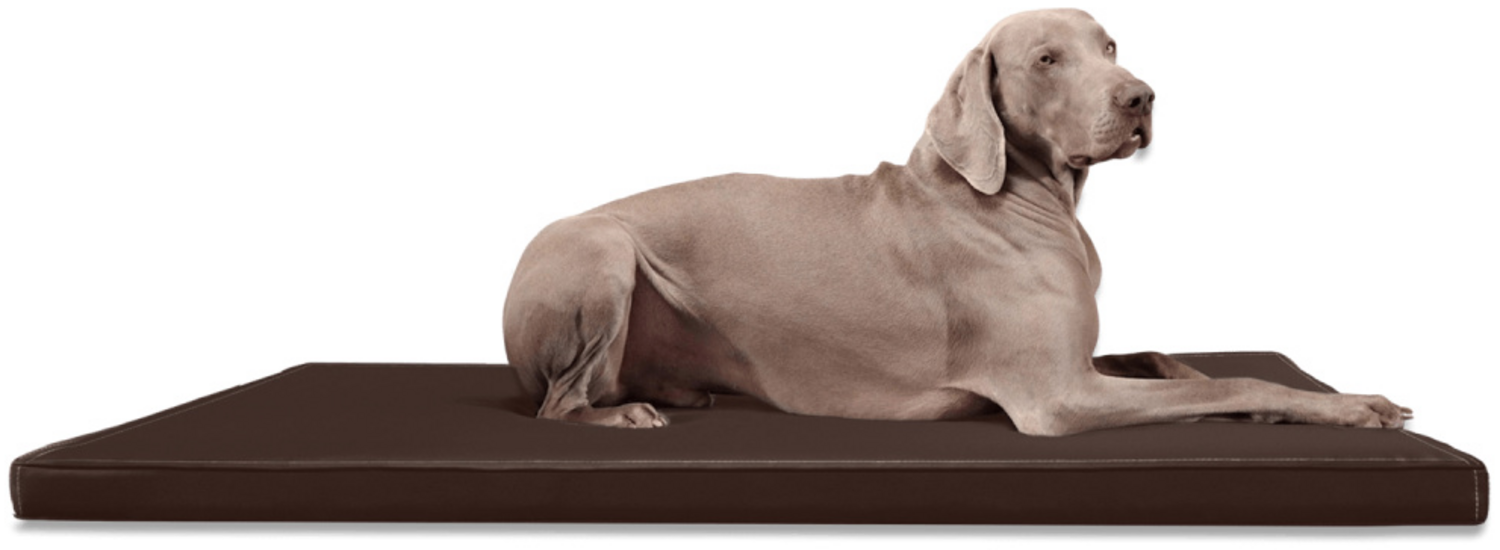 CARLOS Orthopädische Hundematratze Hundematte - 01 Braun, 100x80cm Bild 1