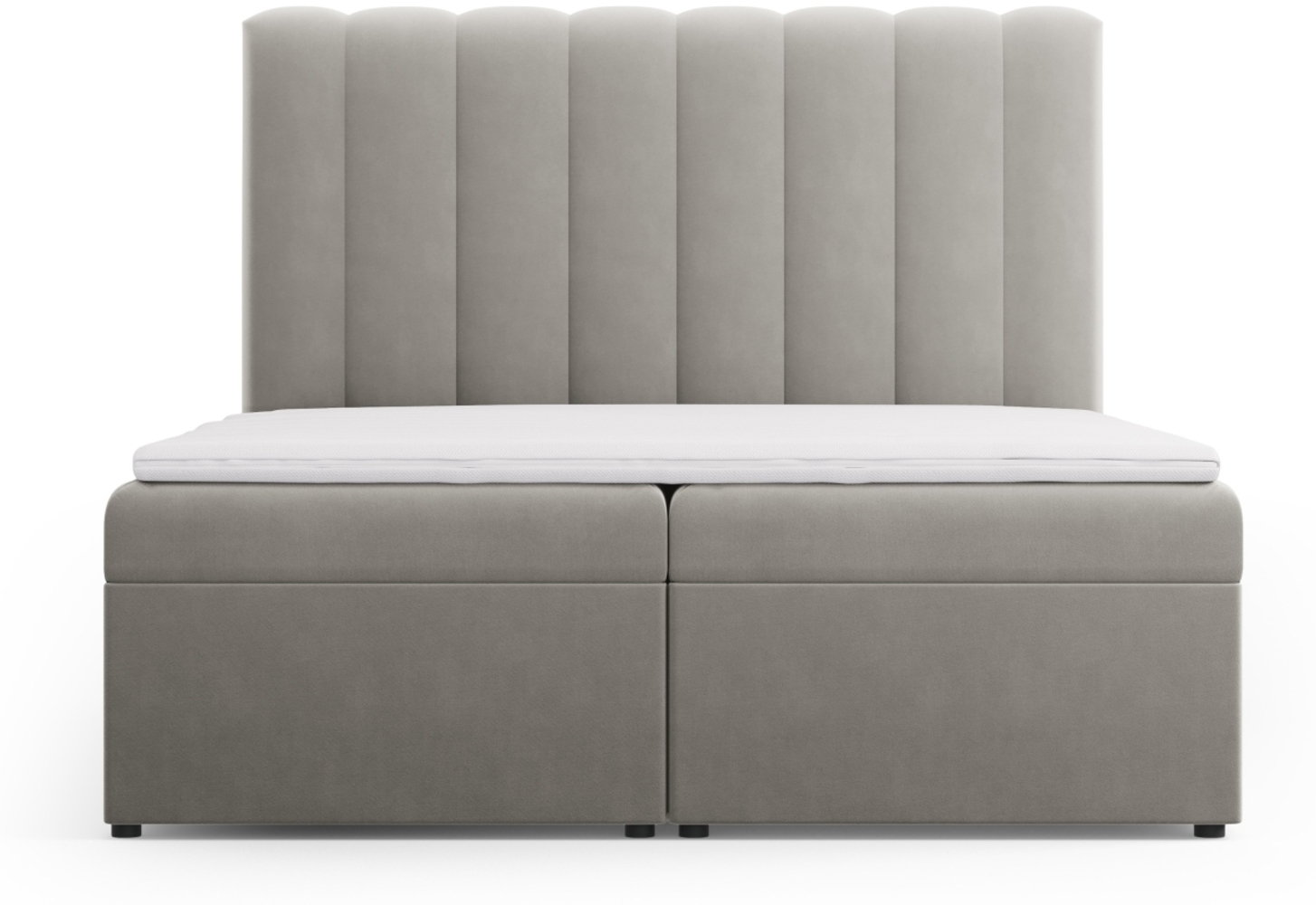 Micadoni Boxspringbett Kelp Samt Hellgrau 160x200 Bild 1