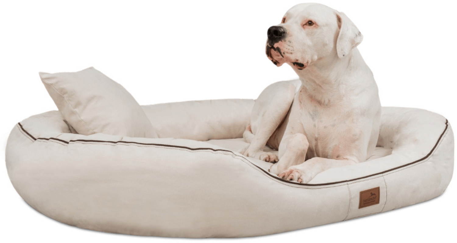 MARLON SOFT Orthopädisches Hundebett - 85x65cm, 05 Creme Bild 1