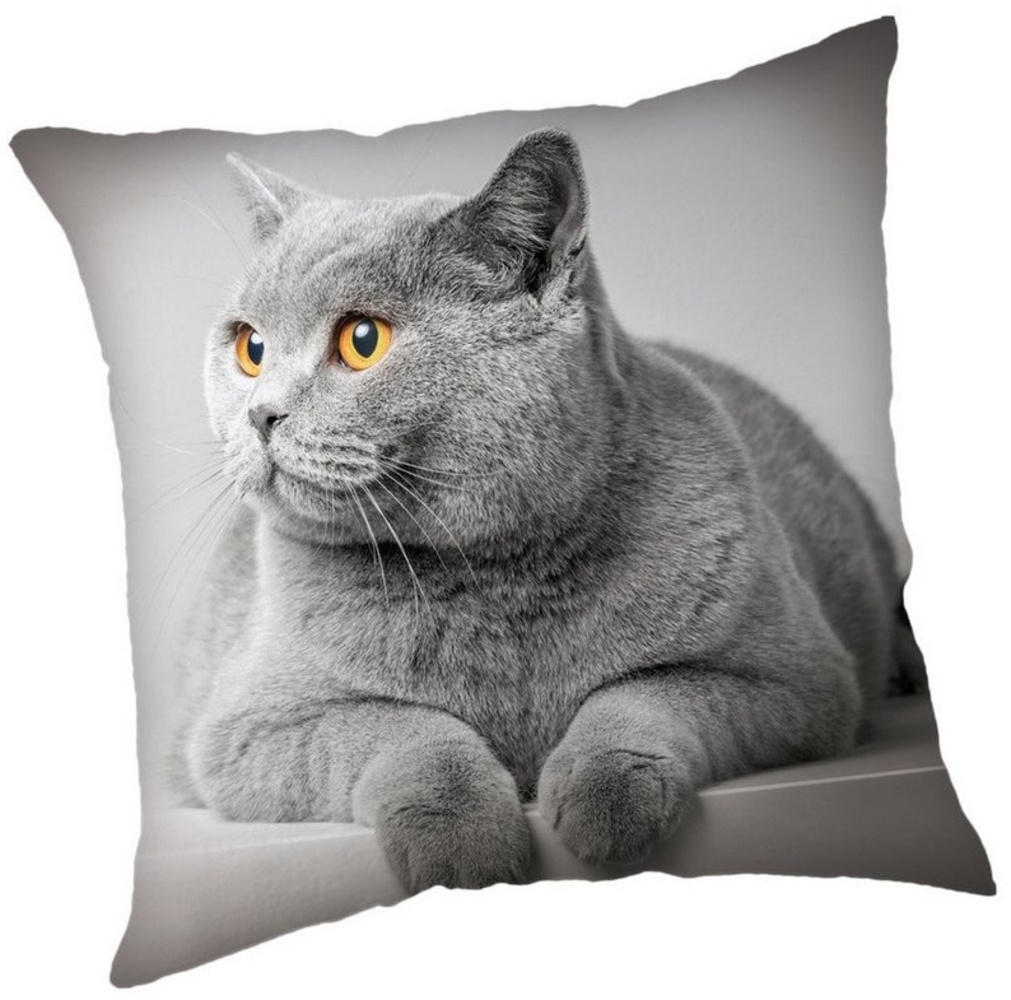 Grey Cat Kissenhülle 45x45 cm Zierkissen Bezug Sofa Couch Polyester Bild 1