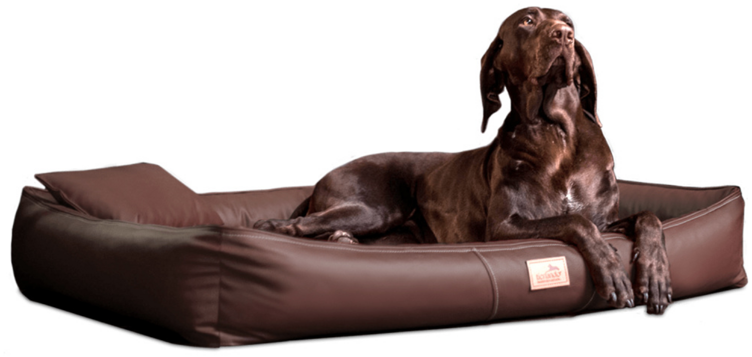CLIFFORD Orthopädisches Hundebett - 01 Braun, 100x75cm Bild 1