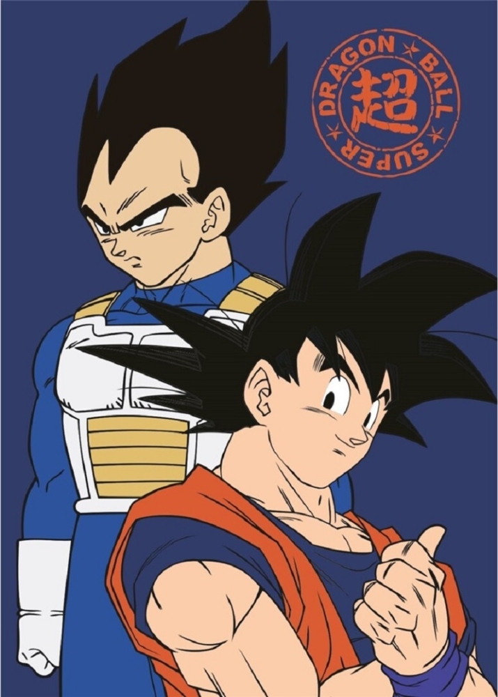 Dragon Ball Z Decke Weiche Fleecedecke 100x140 cm für Kinder & Erwachsene Bild 1