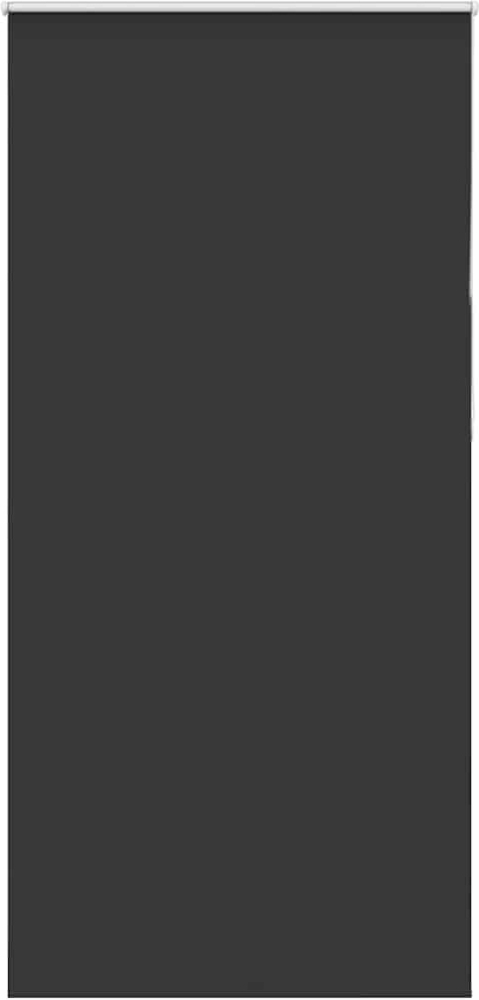 vidaXL Verdunkelungsrollo Schwarz 100x210 cm Stoffbreite 95,7 cm 4010920 Bild 1