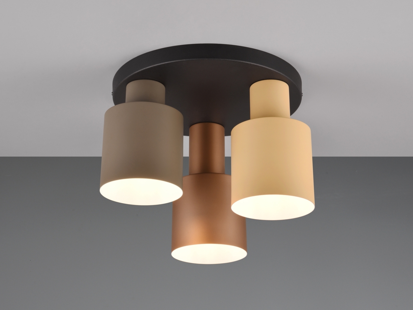 Trio Leuchten LED-Deckenleuchte Agudo E27 schwarz Metall Bild 1