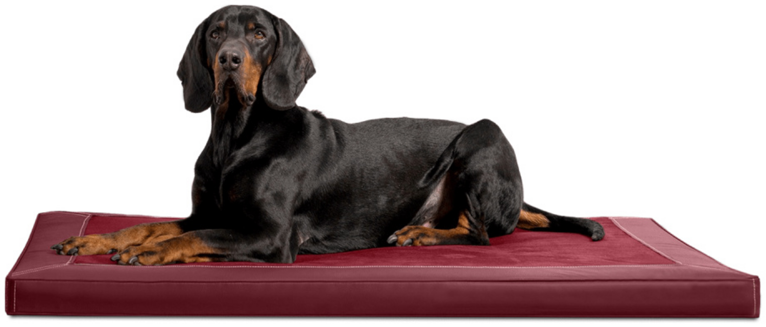 CARLOS VIP Orthopädische Hundematratze - 04 Dunkelrot, 100x80cm Bild 1