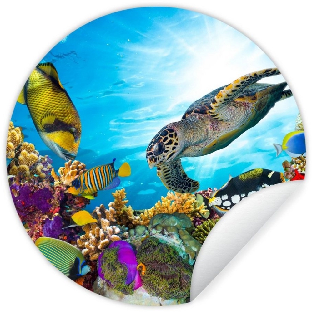 MuchoWow Wandsticker Schildkröte - Meer - Koralle (1 St), Wandtattoo Selbstklebend, Wohnzimmer Deko Aufkleber, 30x30 cm Bild 1