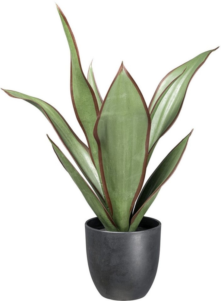 Künstliche Zimmerpflanze Sanseveria Black diamond Grünpflanze, Creativ green, Höhe 53 cm, mit grünroten Blättern Bild 1