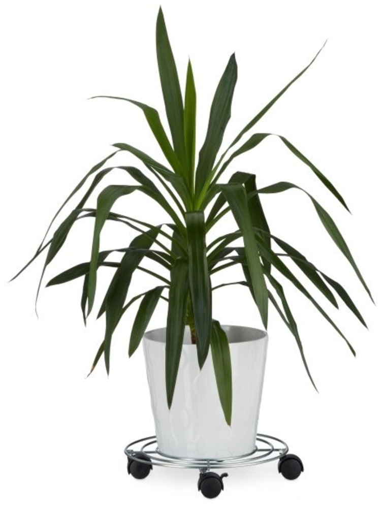 3 x Pflanzenroller mit Bremse 10022348 Bild 1