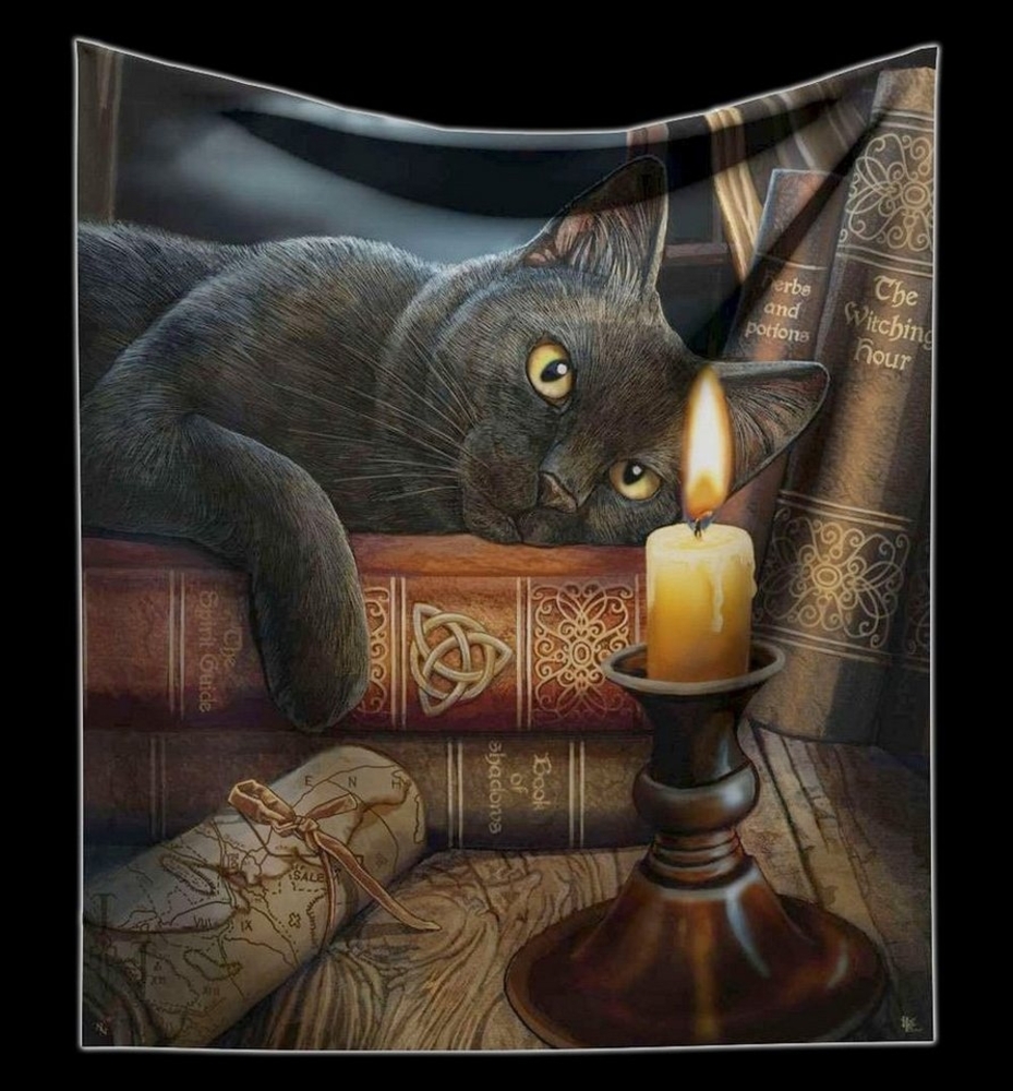 Wohndecke Kuscheldecke Hexen Katze - Witching Hour von Lisa Parker - Fantasy, Figuren Shop GmbH Bild 1