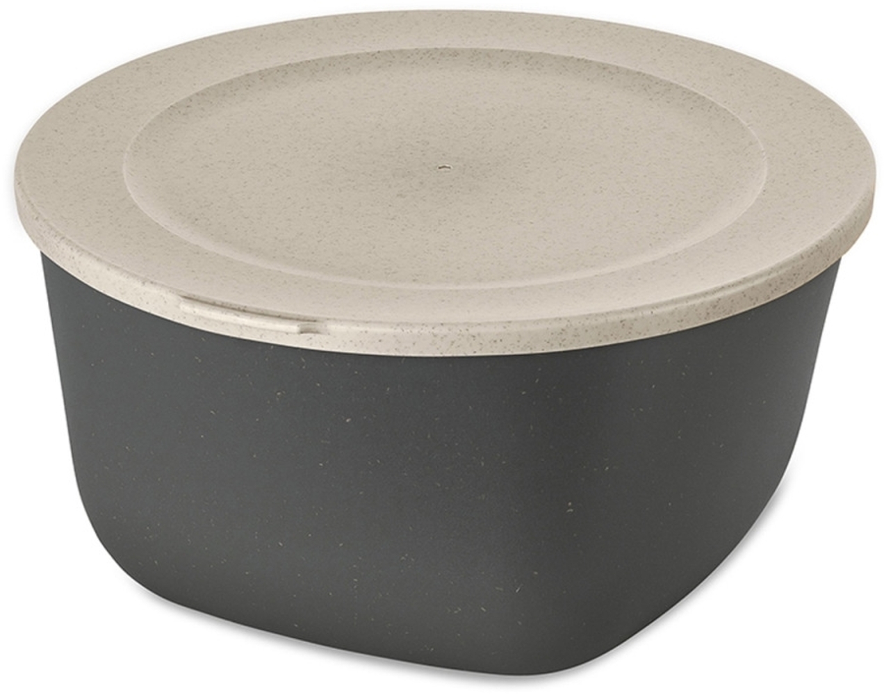 Koziol Dose Connect Box mit Deckel, Schüssel, Schale, Kunststoff-Holz-Mix, Nature Ash Grey, 4 L, 7872701 Bild 1