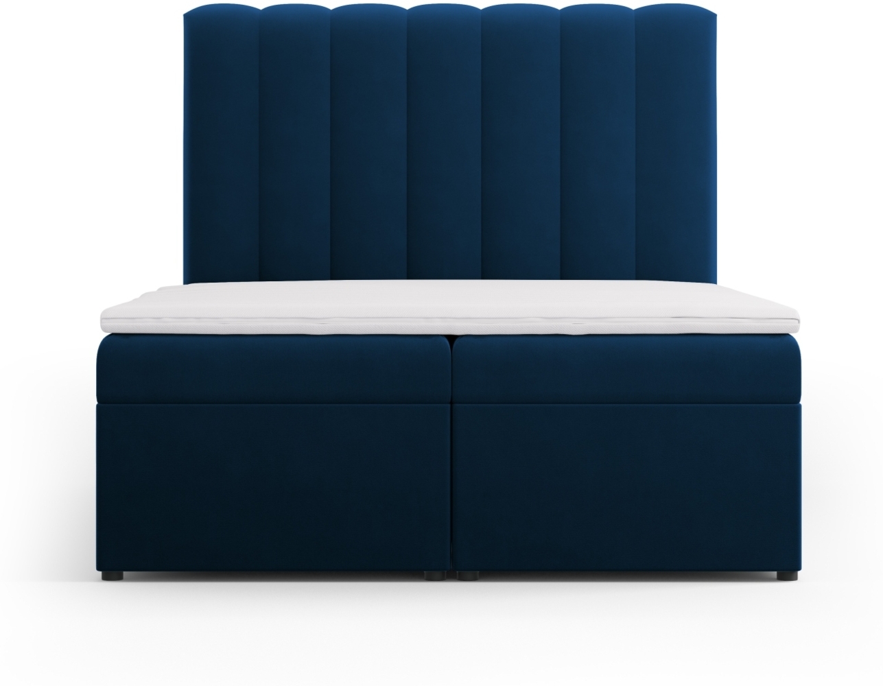 Micadoni Boxspringbett Kelp Samt Königsblau 140x200 Bild 1