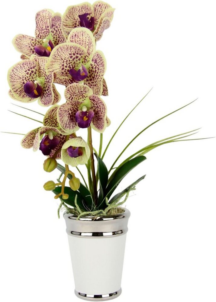 Kunstblume Orchidee, I.GE.A, Höhe 52 cm, im Topf, aus Keramik, Seidenblume Real Touch Bild 1