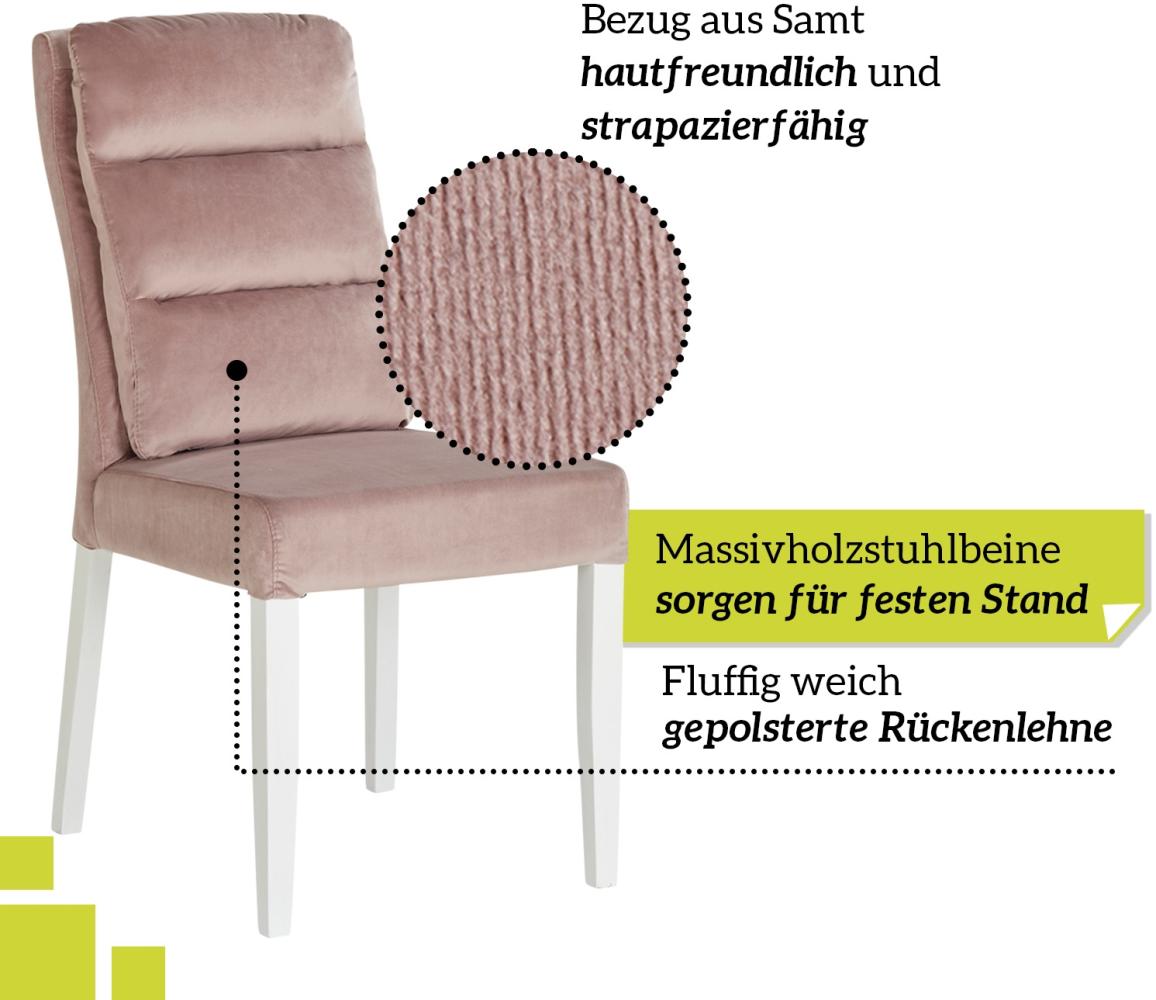 smart 6er Set Esszimmerstühle Bezug aus Samt rosa, weich gepolstert - Stuhlbeine aus Massivholz Buche lackiert - Küchenstuhl, Wohnzimmerstuhl, Polsterstuhl mit Schaumstoffpolsterung Bild 1