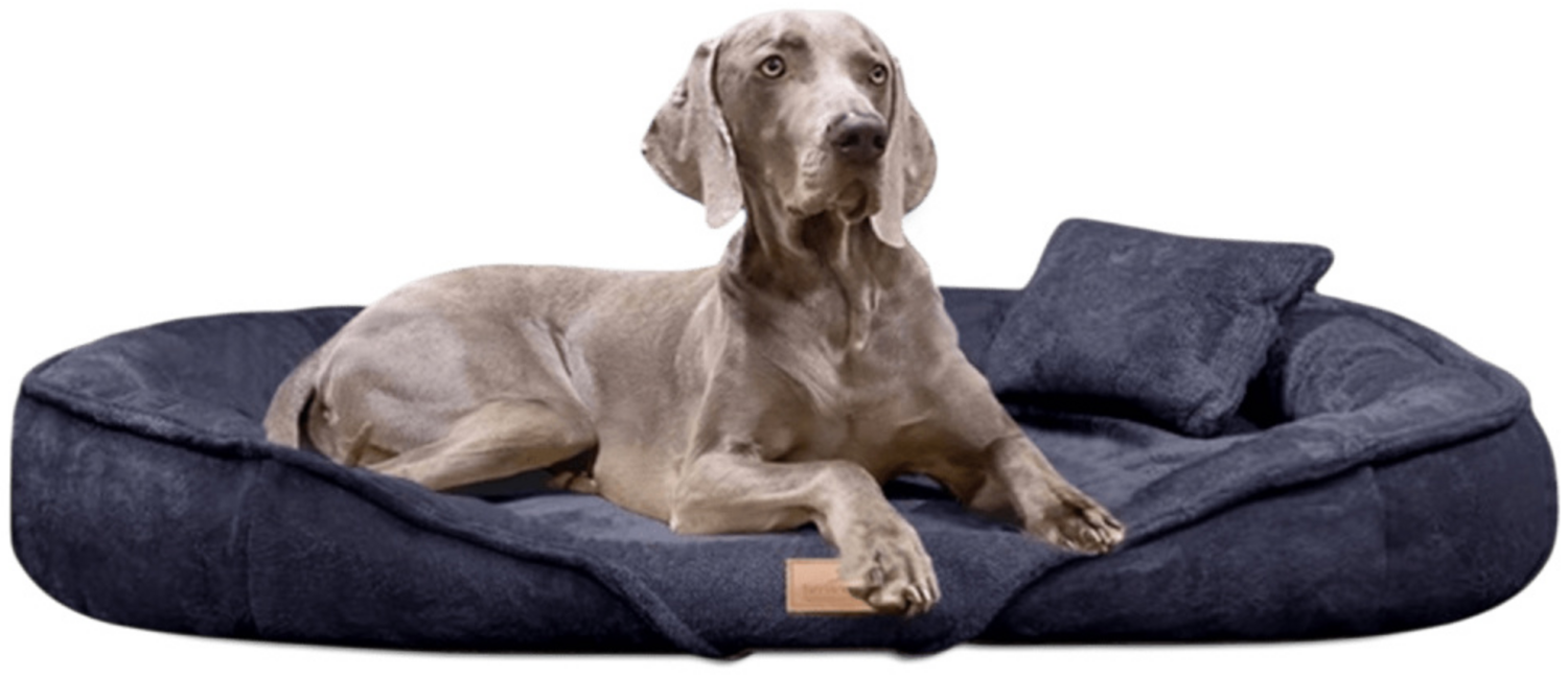XENIA TEDDY | Kuscheliges Orthopädisch Hundebett - 40 Anthrazit, 145x105cm Bild 1