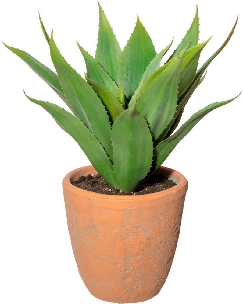 Künstliche Zimmerpflanze Agave im Terracottatopf Sukkulente, Creativ green, Höhe 40 cm Bild 1