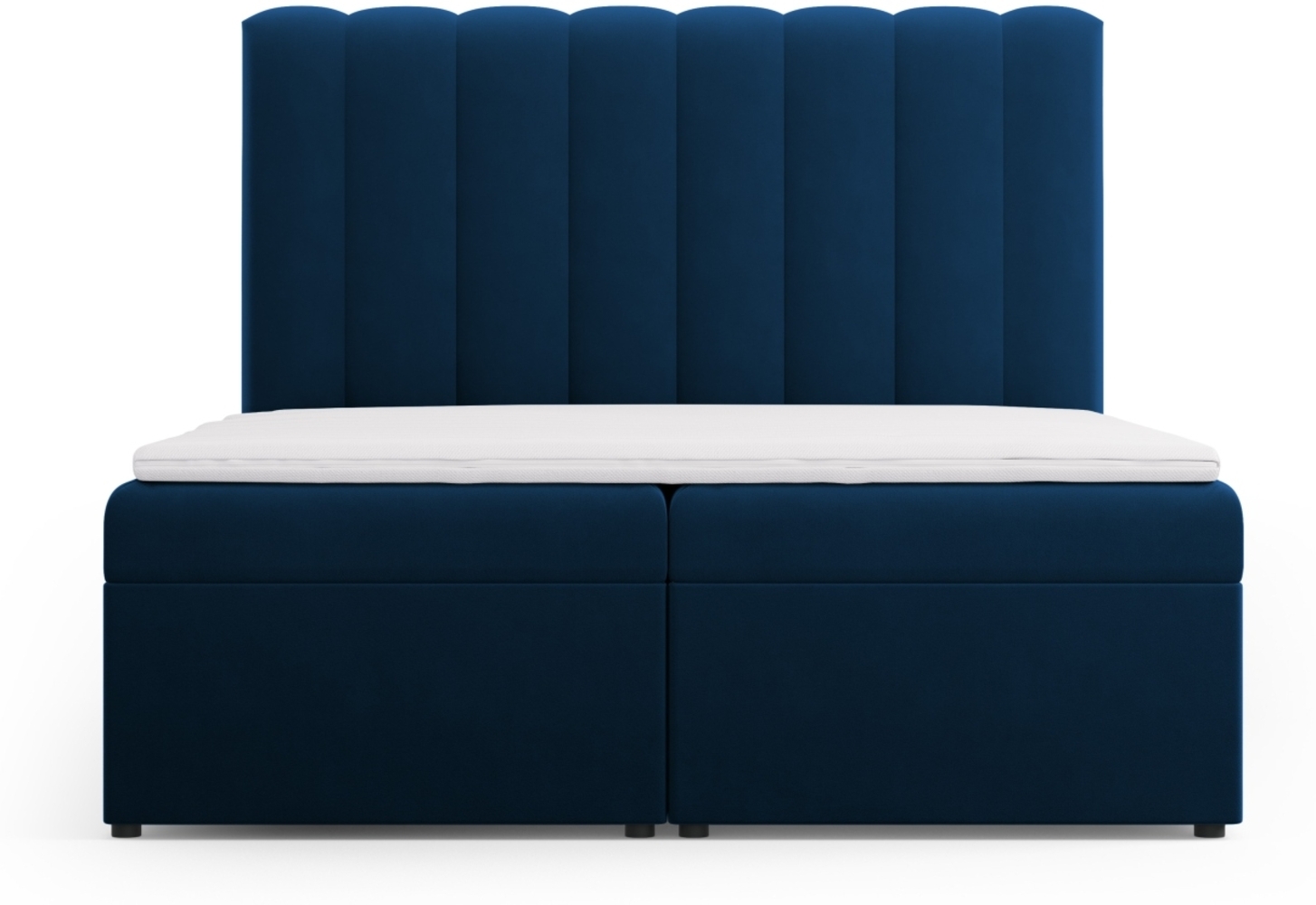 Micadoni Boxspringbett Kelp Samt Königsblau 160x200 Bild 1