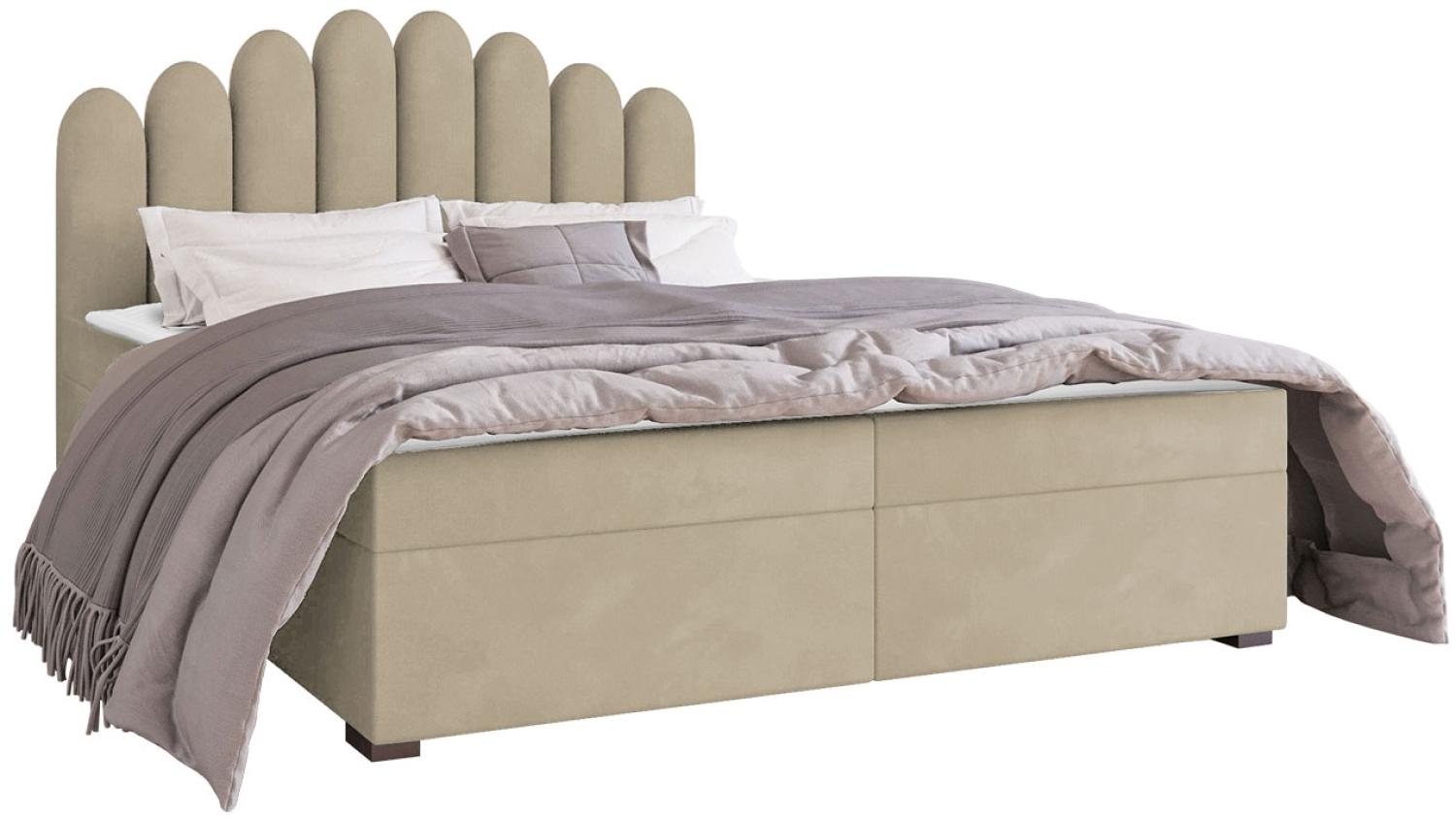 Mirjan24 	Boxspringbett Tosian, Sand, 140 x 200 cm Bild 1